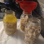 Canning shredded chicken