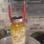 Canning shredded chicken